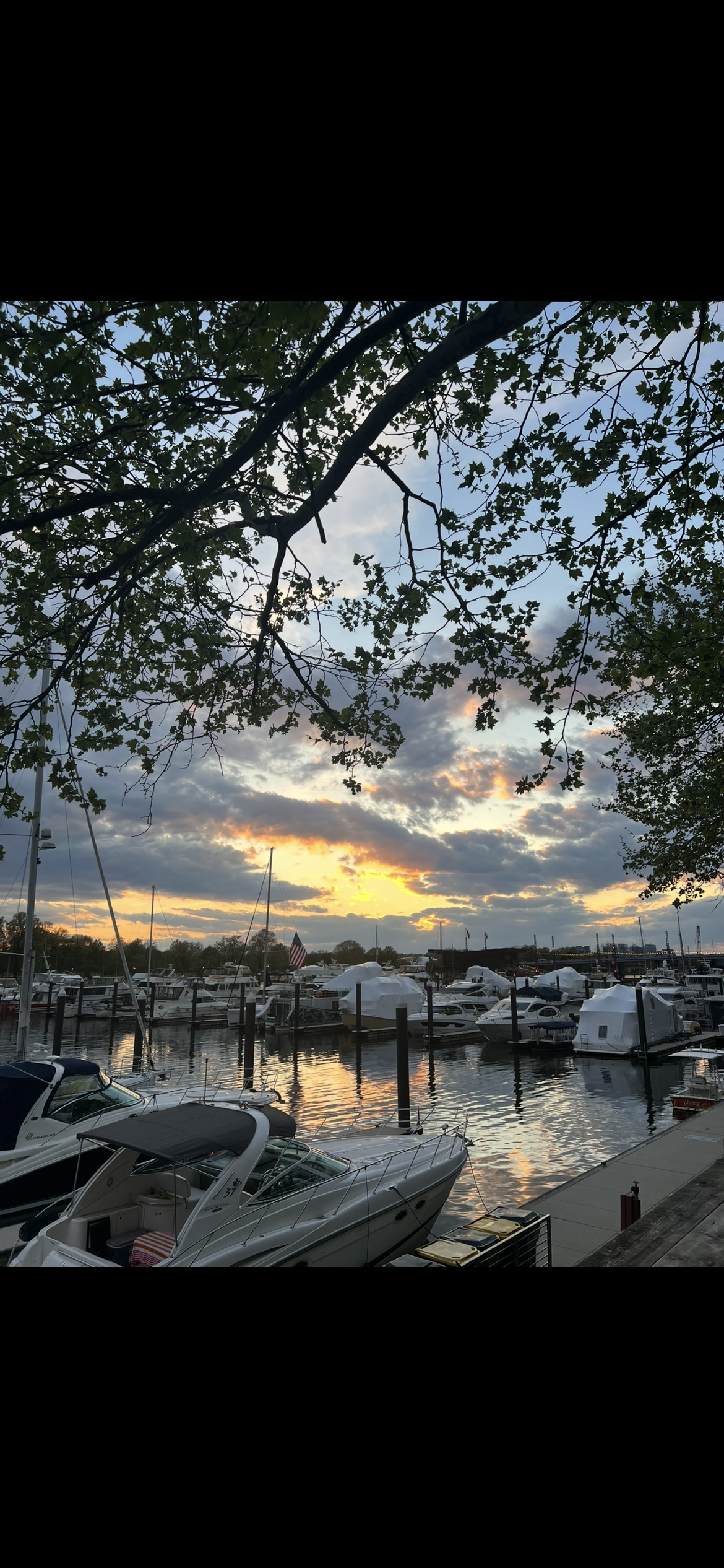Wandering Around in the U.S.